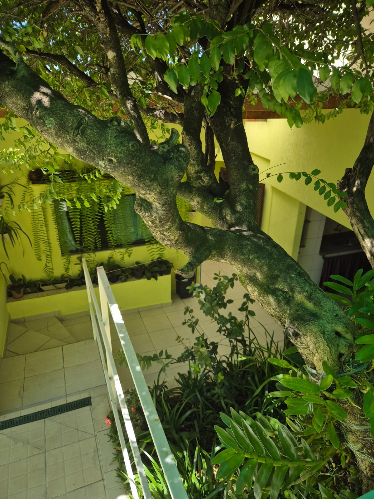 CASA TÉRREA - 3 DORMITÓRIOS!