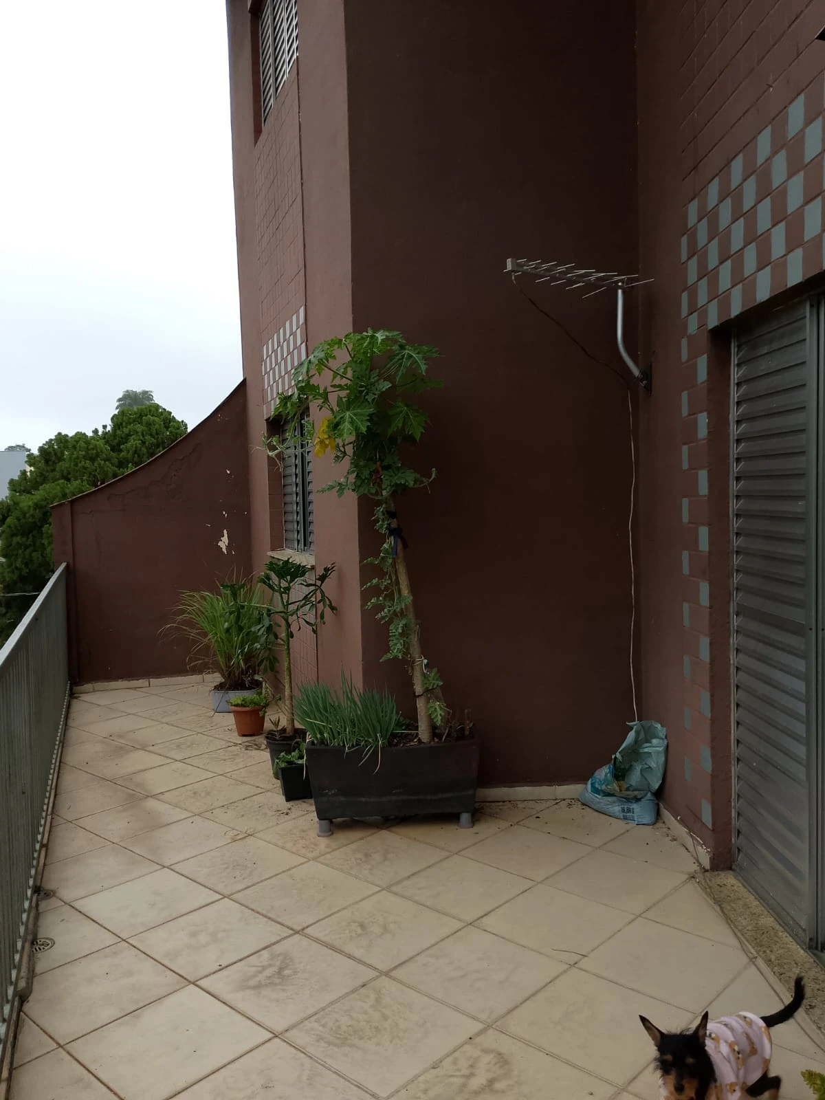 APARTAMENTO SEM CONDOMÍNIO - 3 DORMITÓRIOS!!!!