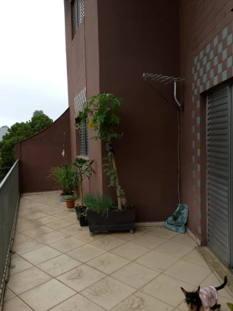 APARTAMENTO SEM CONDOMÍNIO - 3 DORMITÓRIOS!!!!